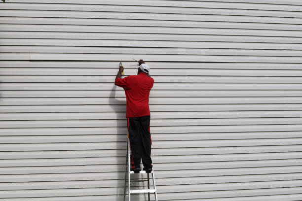 Best Insulated Siding Installation  in Occidental, CA